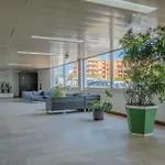 Apartamento Sol Da Rocha 3 Castelos