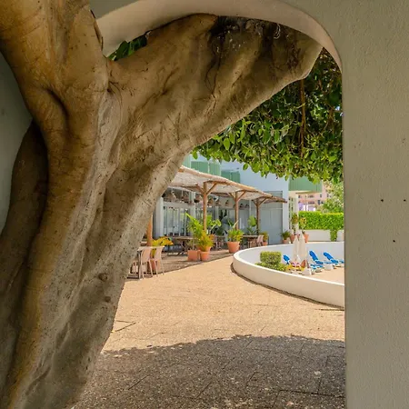 Sol Da Rocha 3 Castelos Appartamento *